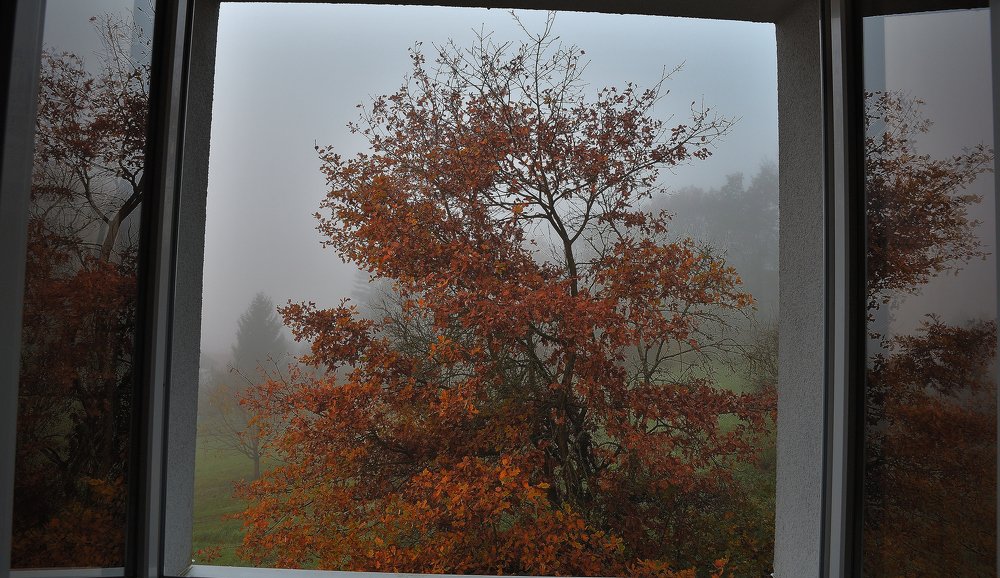 Photograph by Žanas Kalvaitis