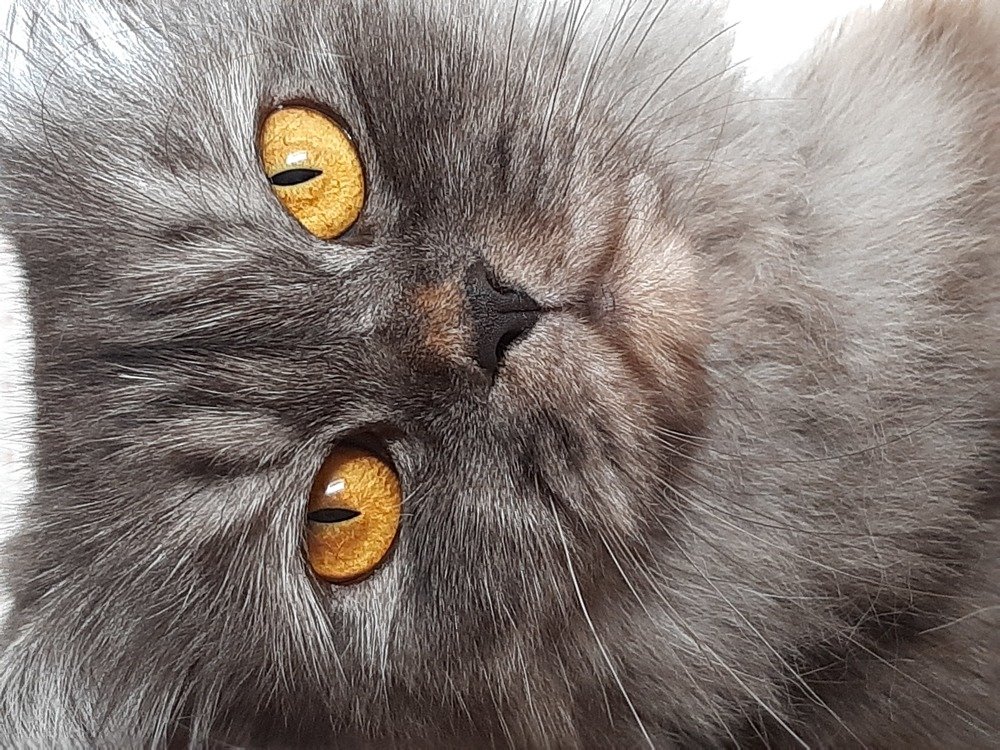 Photograph by Reem elhouseny