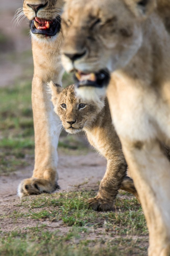 Photograph by Nishant Vyas