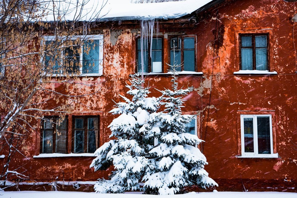 Photograph by Елена Прохорова