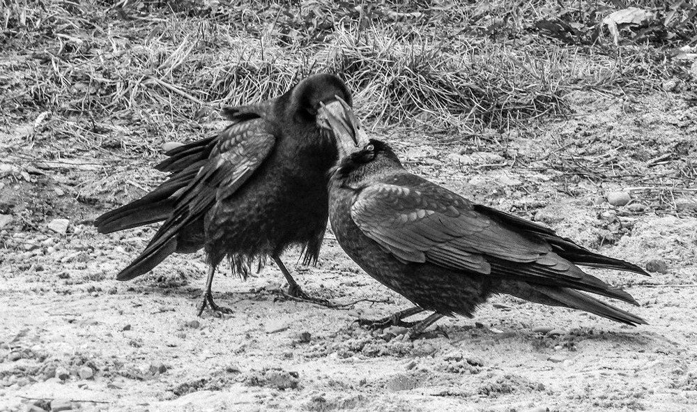 Photograph by Елена Белинская