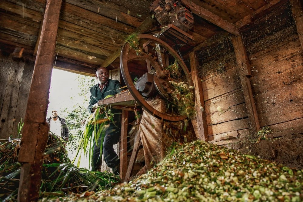 Christmas in the Upcountry