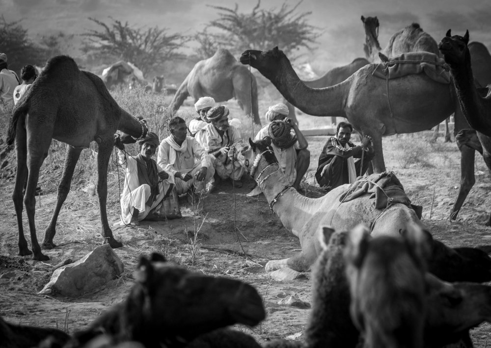 Photograph by Brijesh Dhobi