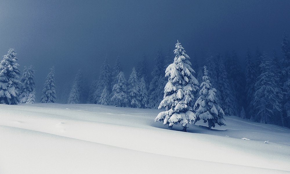 Vladeasa Mountains, Romania