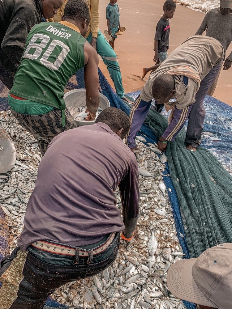 Photograph by Nora Awolowo