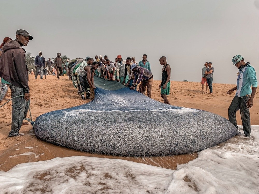 Photograph by Nora Awolowo