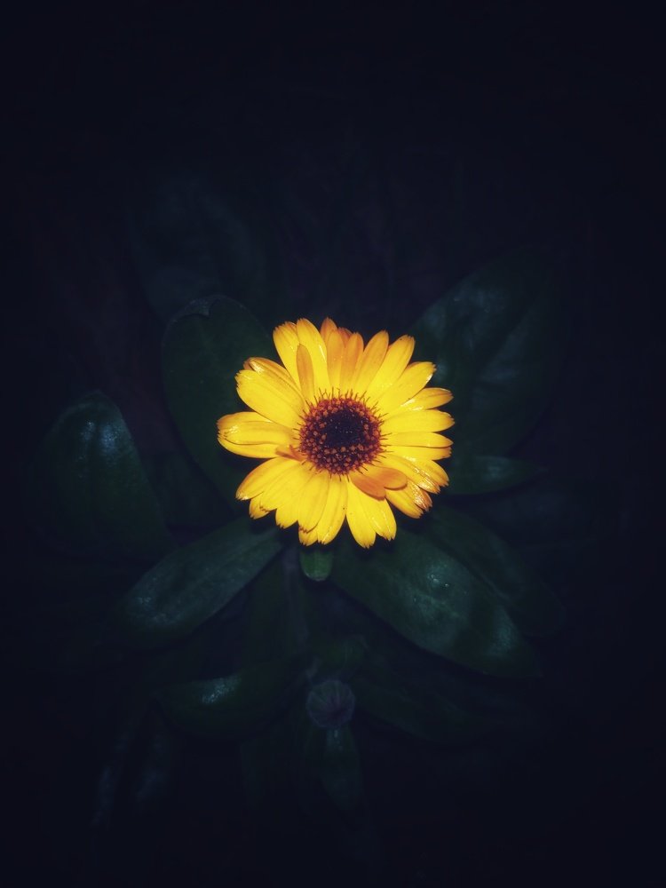 Photograph by photopokhaBD