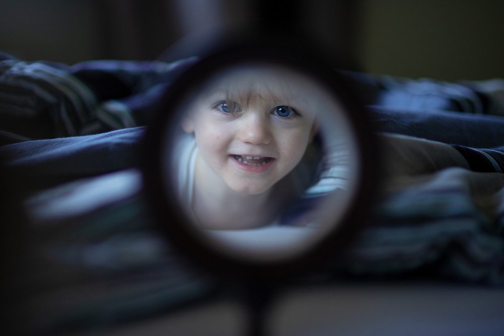 Главное в фокусе