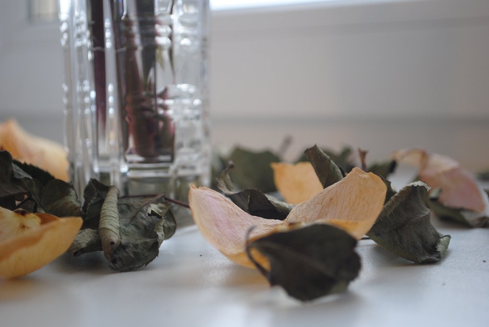 Photograph by Наталья Скиданова