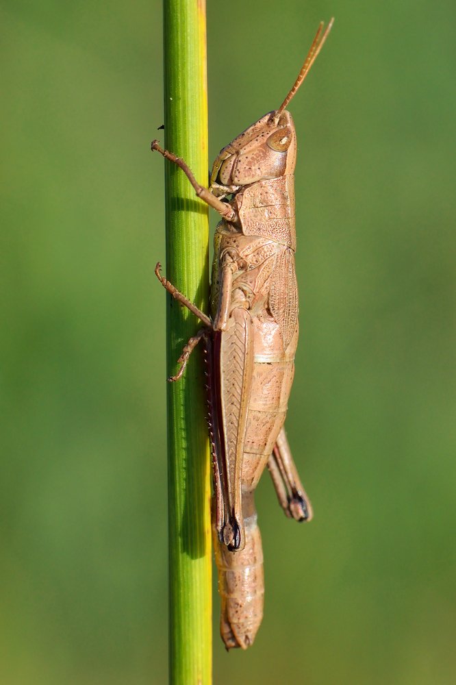 Photograph by Людмила Шалина