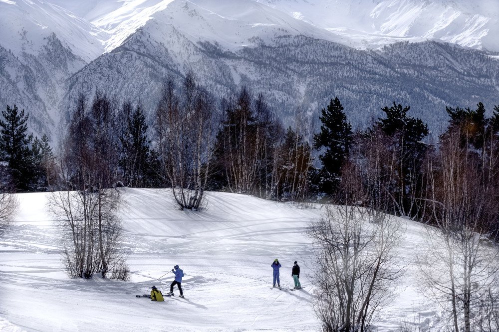 Фотография автора Ольга Огиенко