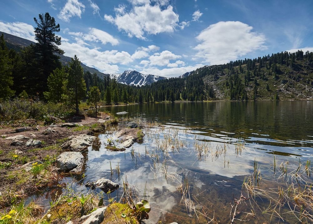 Фотография автора Линдеров Михаил