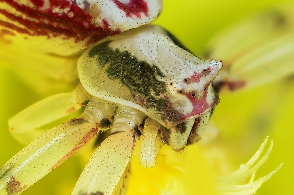 Photograph by Сергей Прокофьев