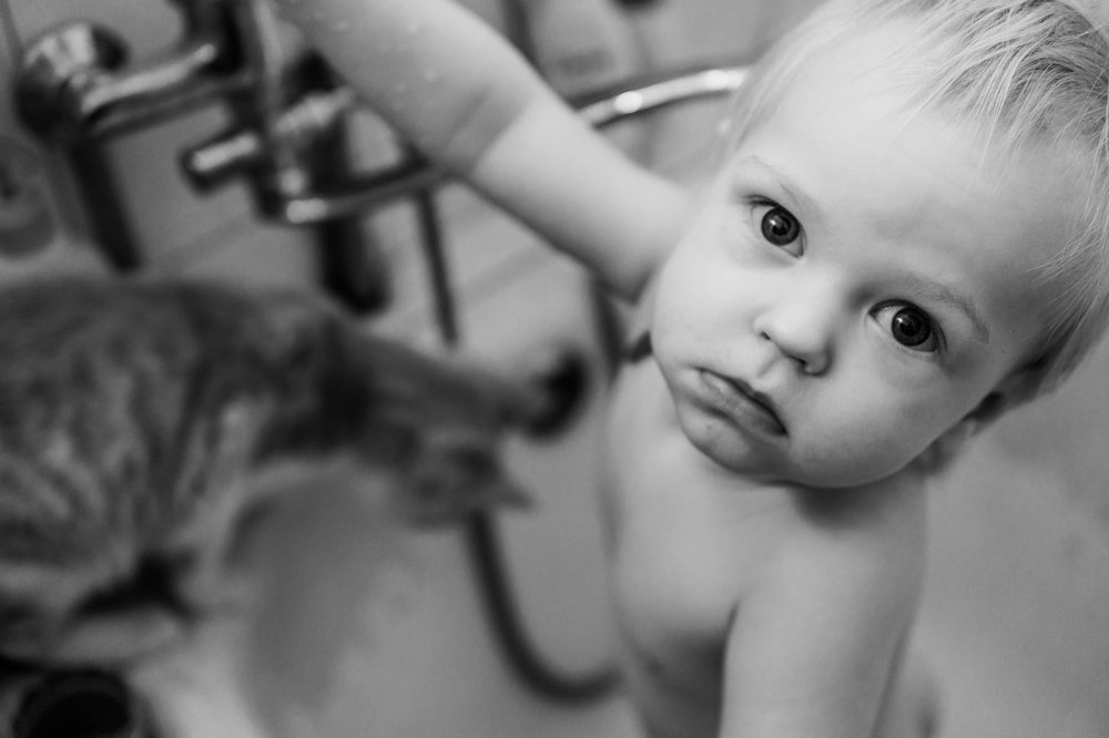 Photograph by Анастасия Чудинова