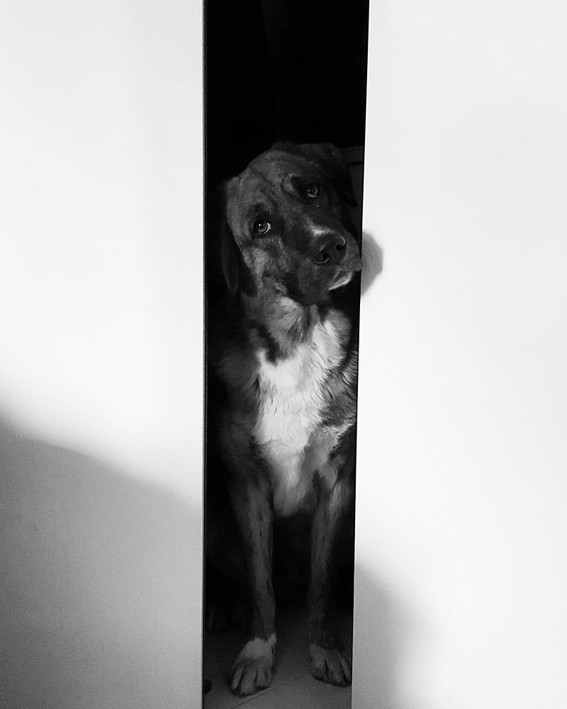 Игра в прятки