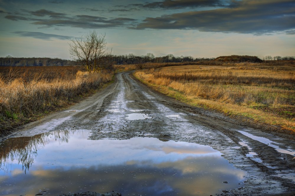 Photograph by Наталия Мостовая