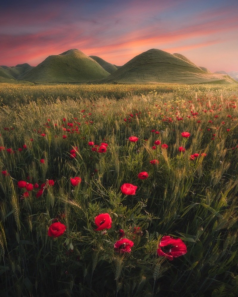 Photograph by Hossein Sedghi