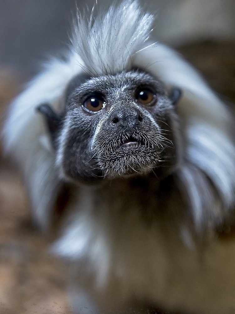 Photograph by Елена Мормоль