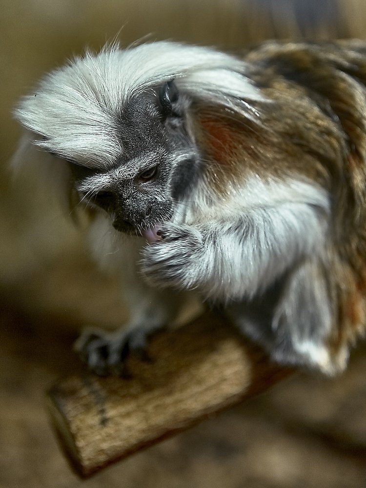 Photograph by Елена Мормоль