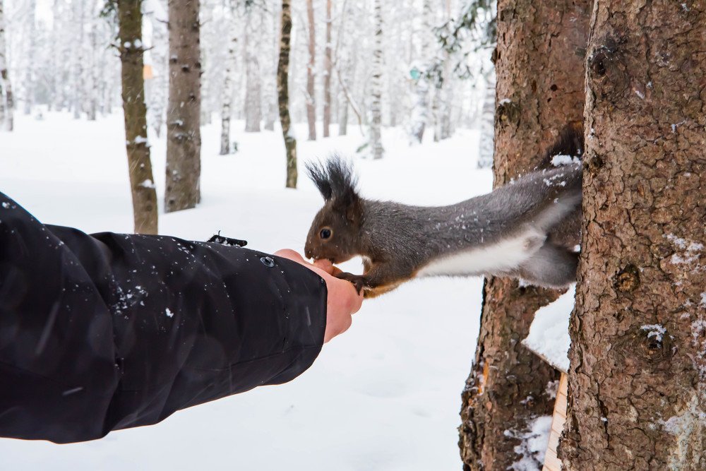Photograph by Елена Прохорова