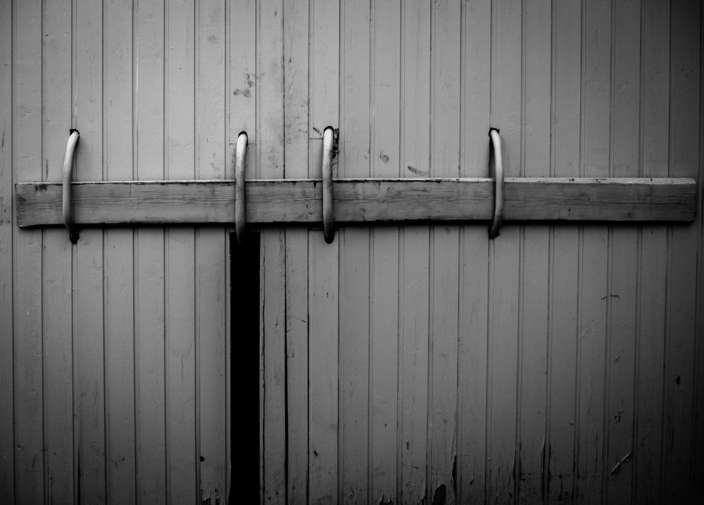 Photograph by Николай Бобров