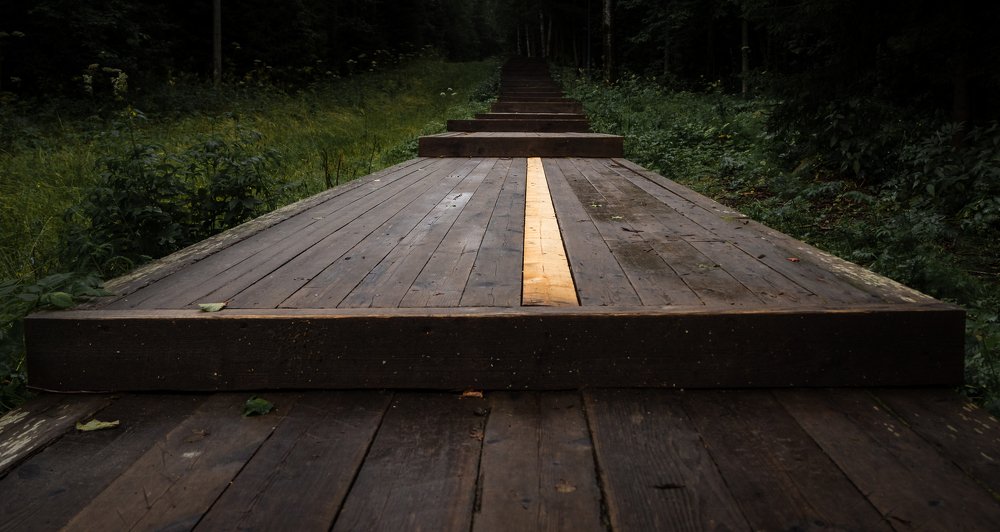 Photograph by Николай Бобров