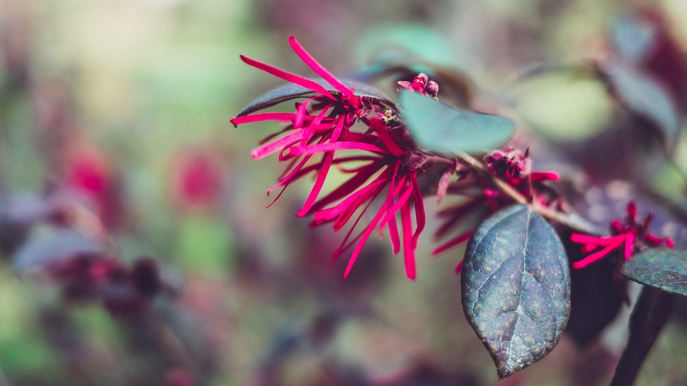 Photograph by Анна Дубровина