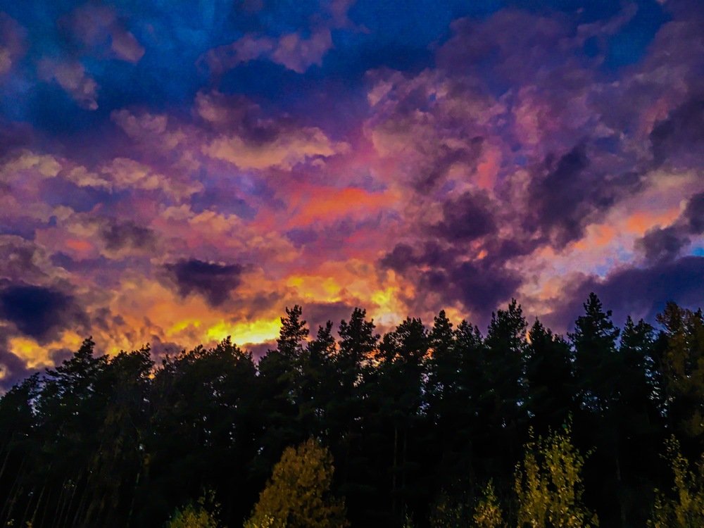 Photograph by Александра Голикова