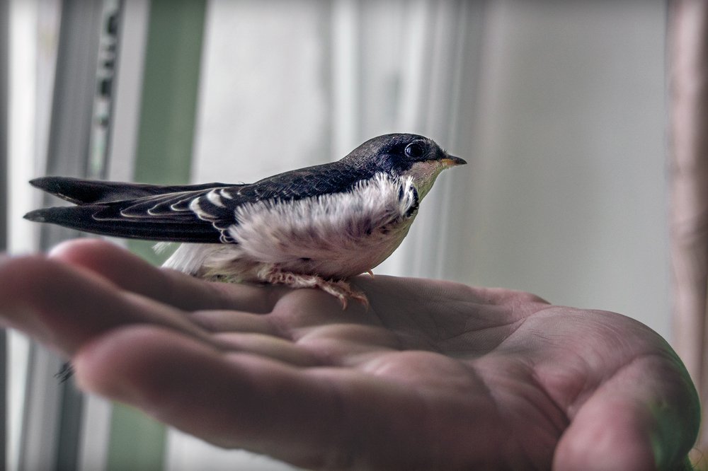 Photograph by Ирина Кленкова