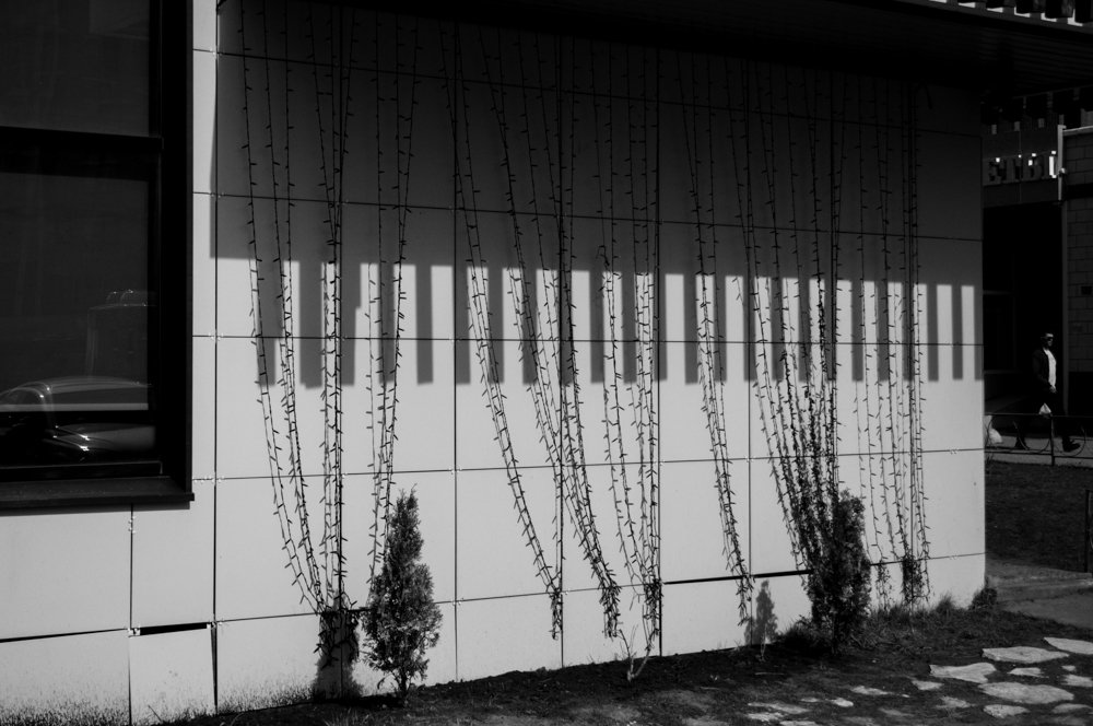 Photograph by Оксана Артемьева