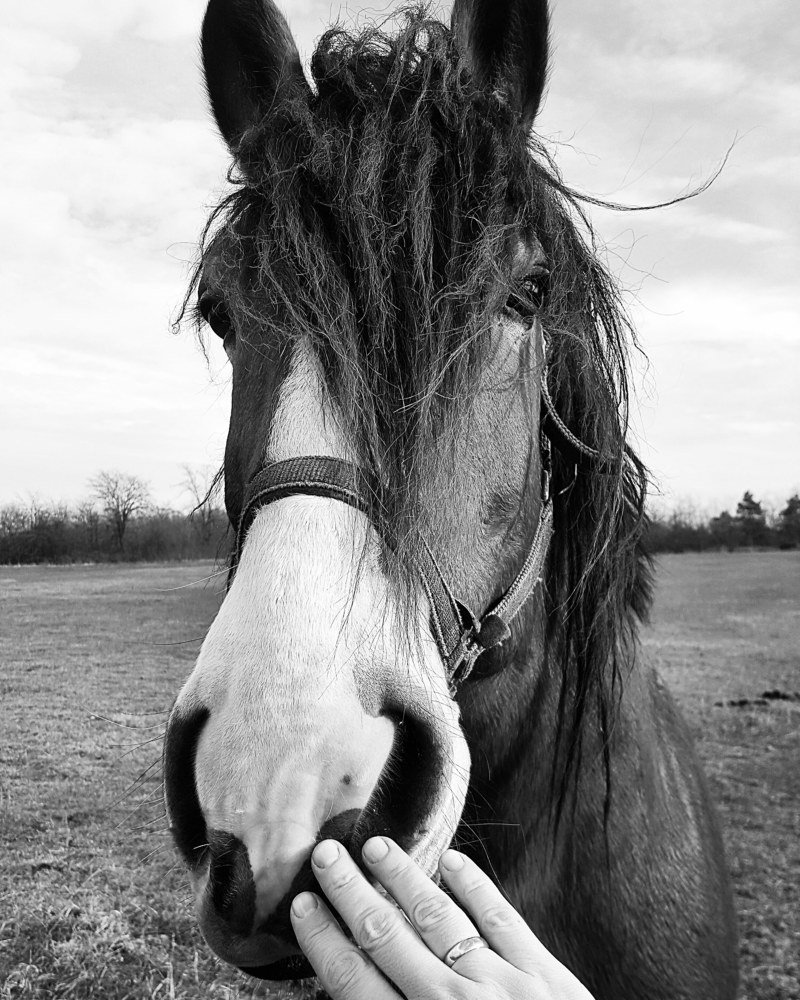 Photograph by Екатерина Маградзе