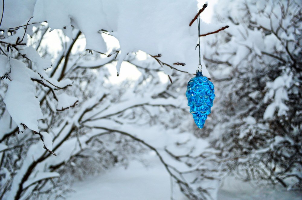 Photograph by Мхитарян Карен