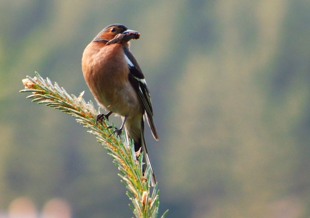 Photograph by Ana Bakic