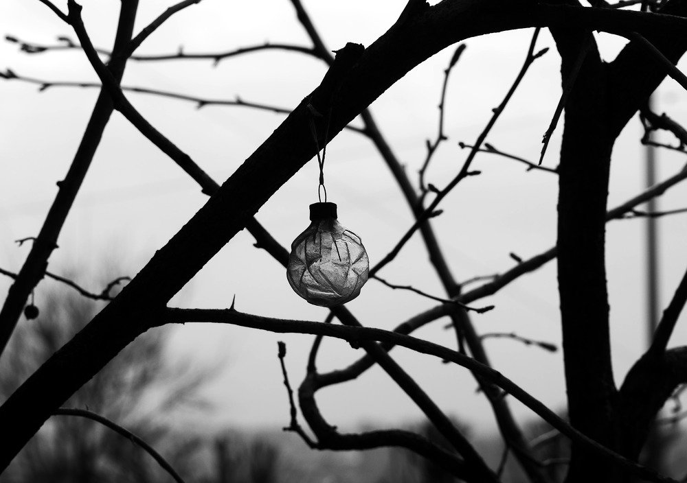 Photograph by Анастасия Егорова