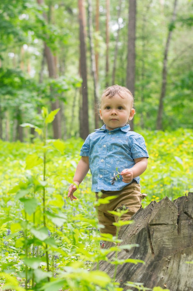 Photograph by Алексей Лобанов