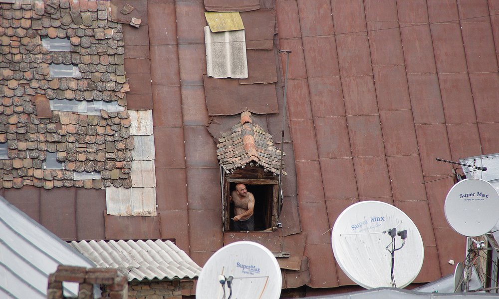 Photograph by Александр Мамулов