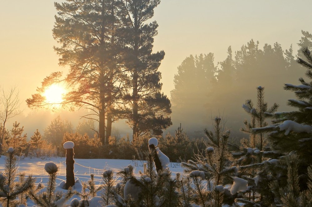 Photograph by Леунина Людмила