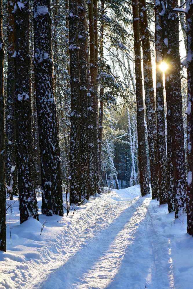 Photograph by Кристина