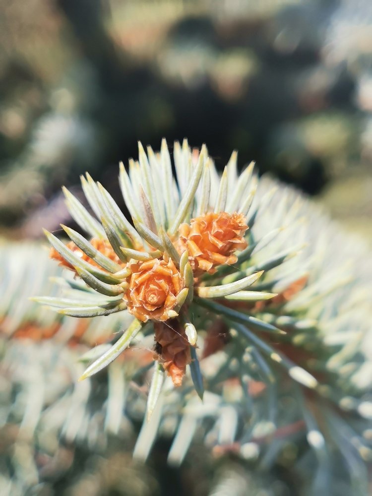 Photograph by Александр Костин