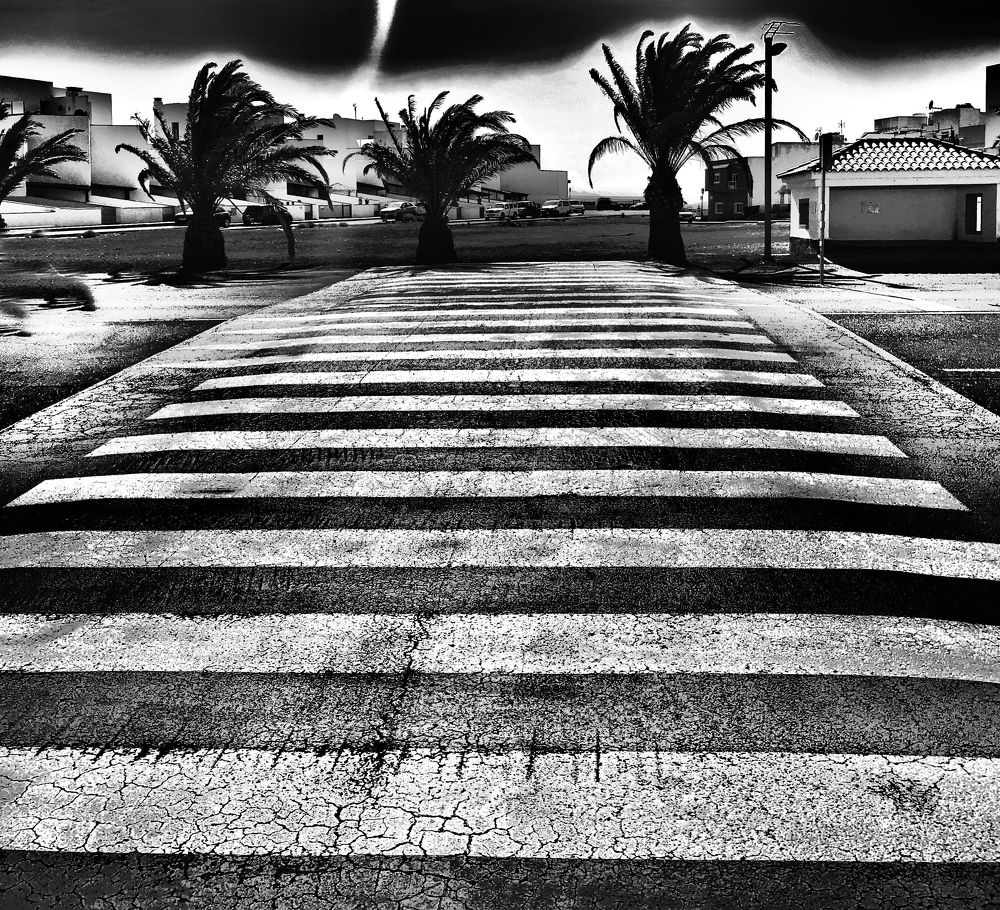 Photograph by Wojciech Radzko