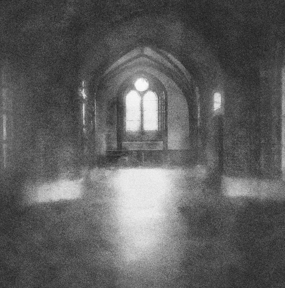 Photograph by Wojciech Radzko