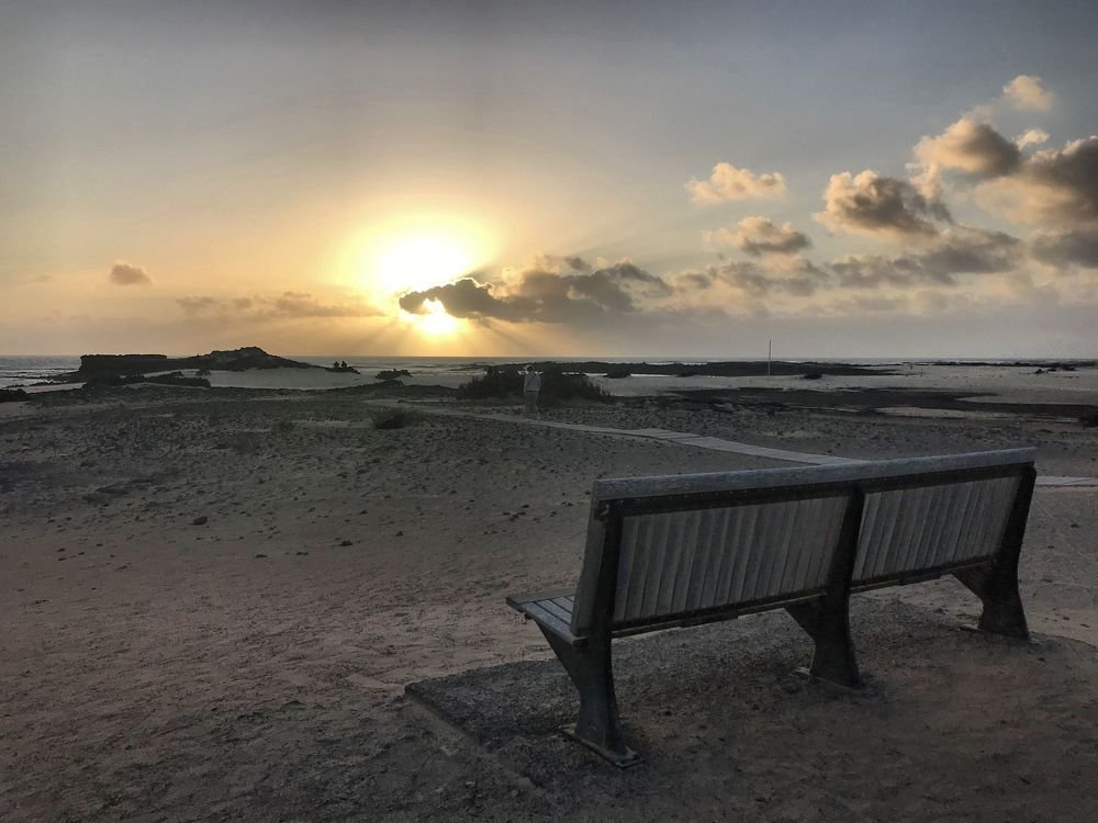 Photograph by Wojciech Radzko