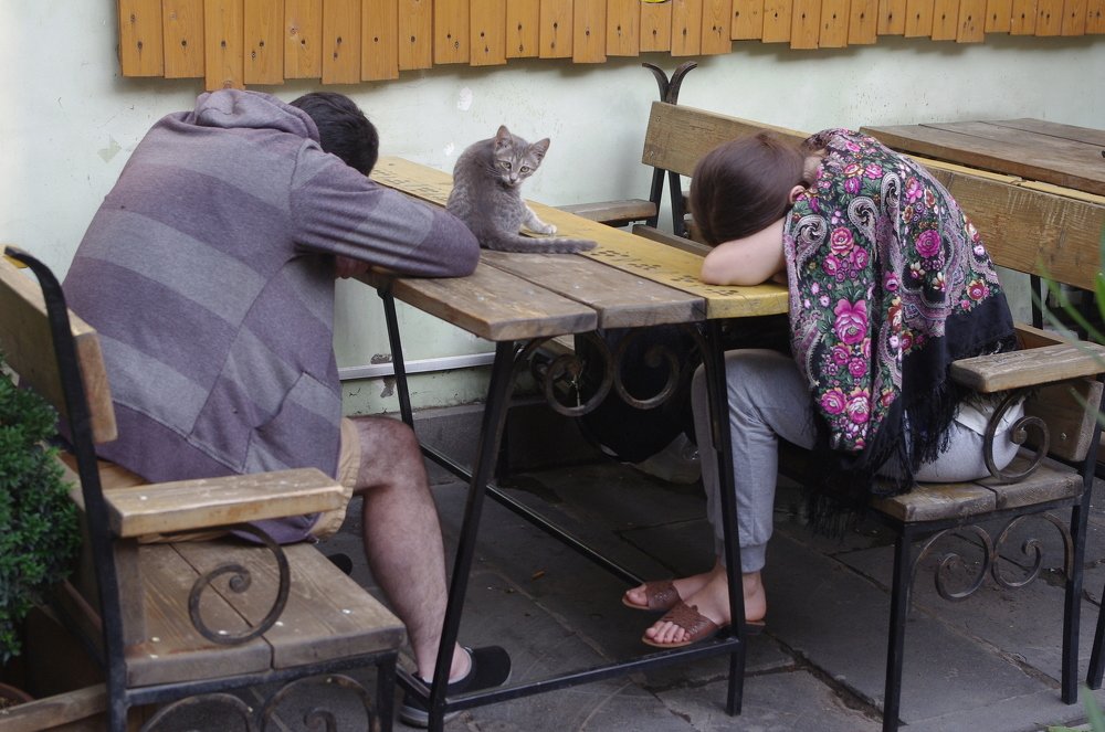 Photograph by Александр Мамулов