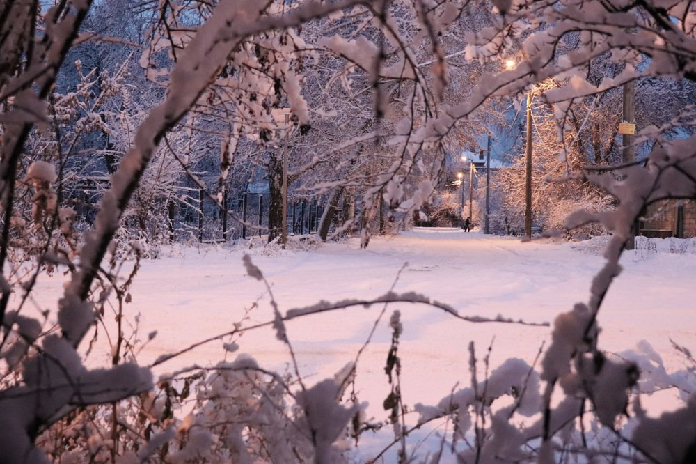 Photograph by Федоренко Элеонора
