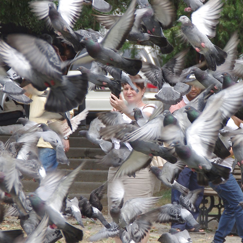 Photograph by Александр Мамулов