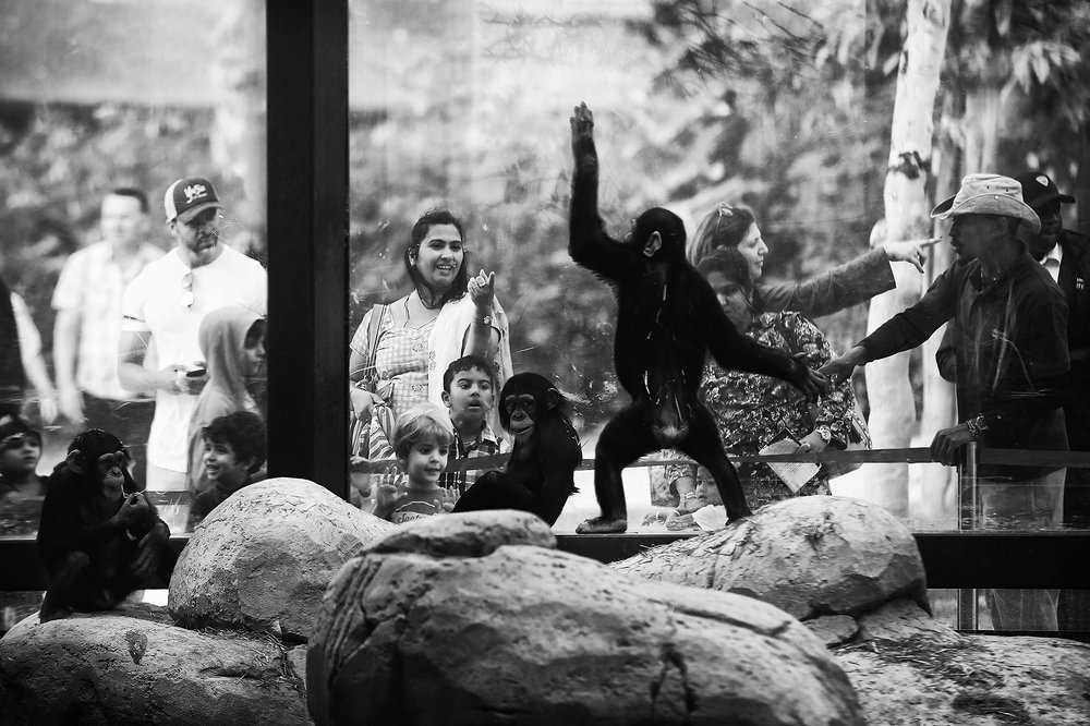 Фотография автора ALLA SOKOLOVA