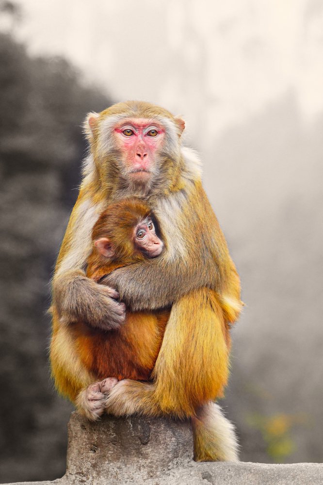 Photograph by HIEN LE