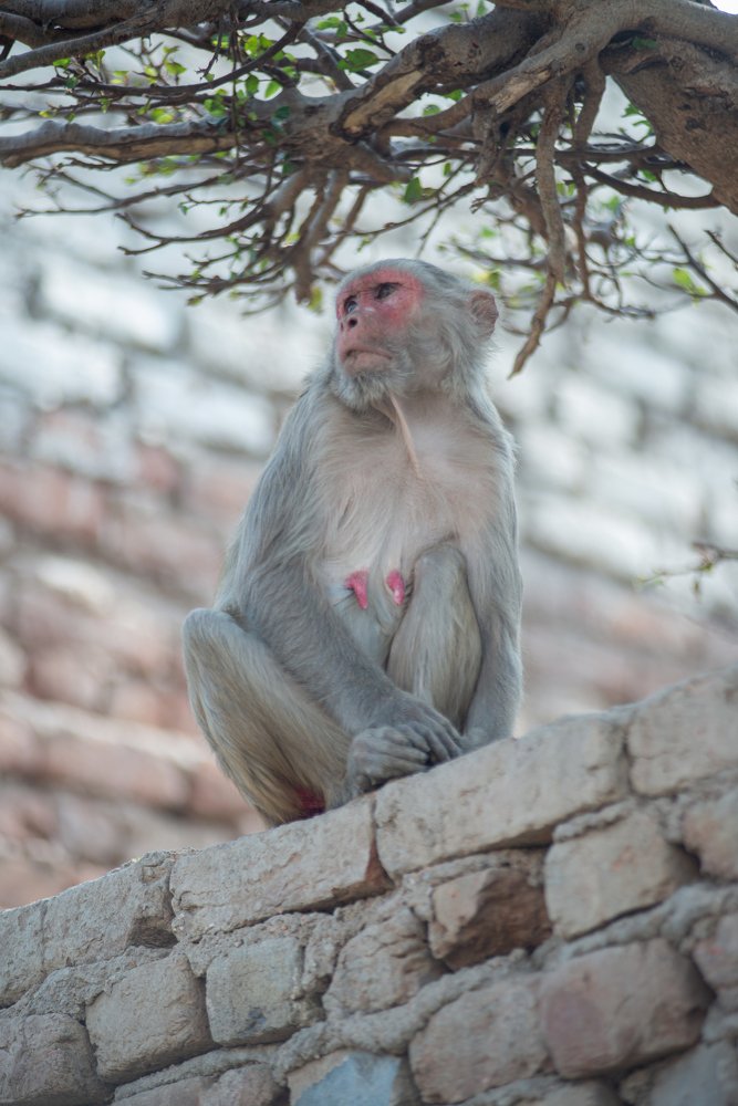 Photograph by Ульяна Юдина