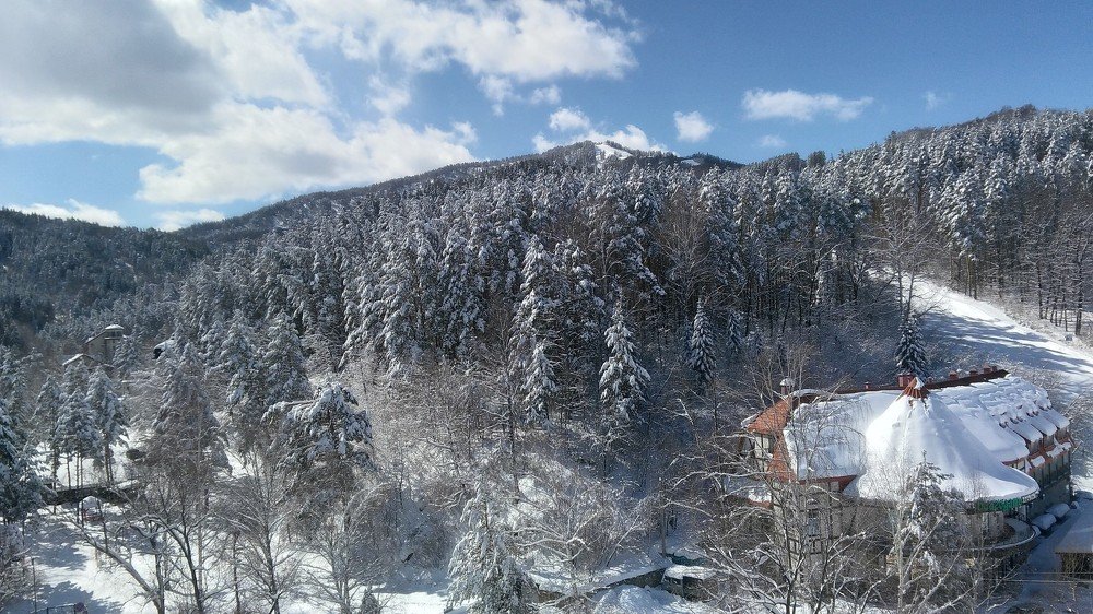 Photograph by Елизавета Носкова