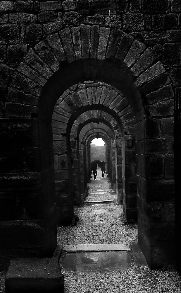 Photograph by EMRAH TAŞKIRAN